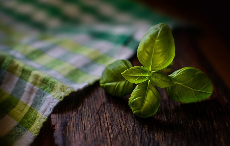 Indoor Herbs